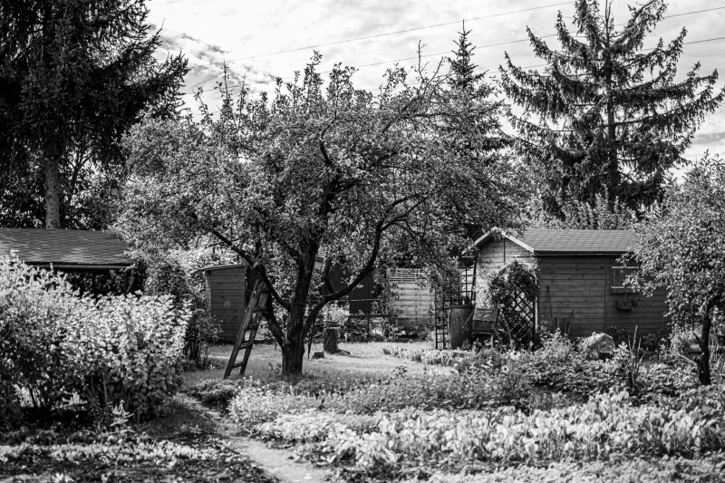 Six Weeks, Four Portals, One Shed: A Planning Permission Odyssey for the Quietly Determined