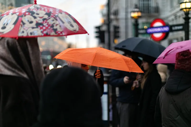 Rain Was Forecast. You Knew This. And Yet.